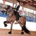Floris