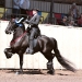 Floris